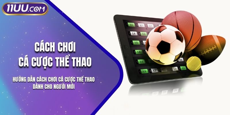 Hướng Dẫn Cách Chơi Cá Cược Thể Thao Dành Cho Người Mới