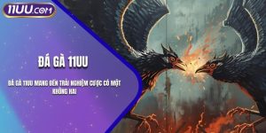Đá Gà 11UU Mang Đến Trải Nghiệm Cược Có Một Không Hai