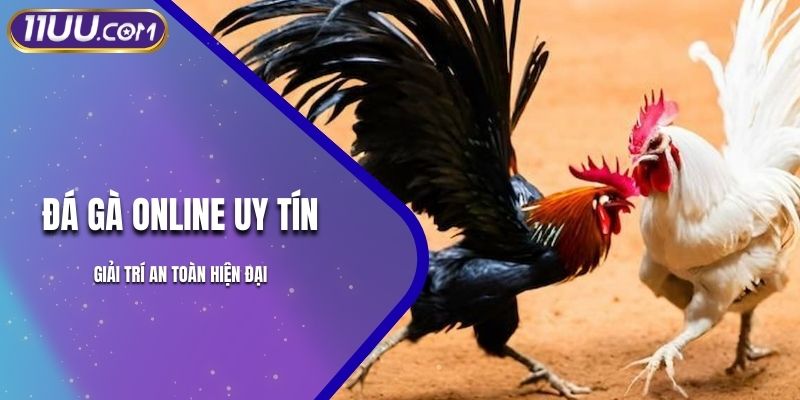 Đá Gà Online Uy Tín – Giải Trí An Toàn Hiện Đại