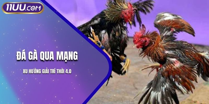 Đá Gà Qua Mạng – Xu Hướng Giải Trí Thời 4.0