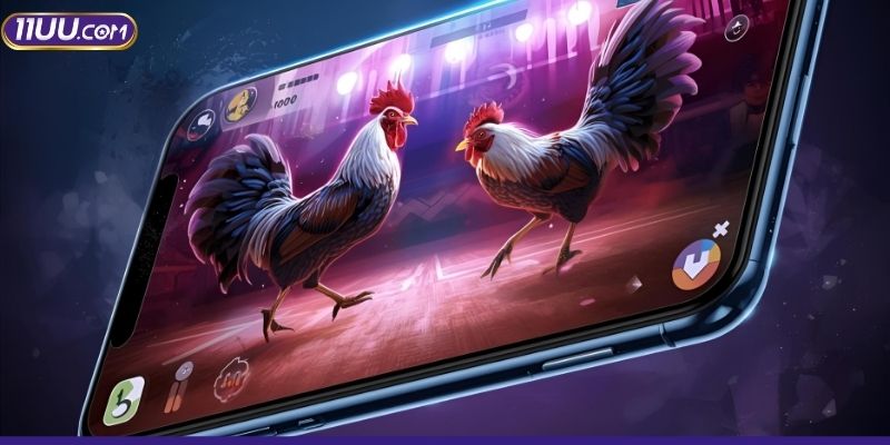 Khái niệm về đá gà trực tuyến